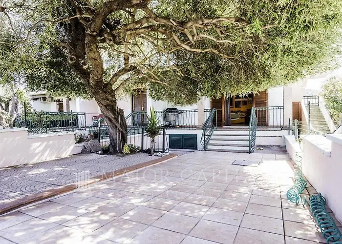 Olivastro Di Tanaunella *