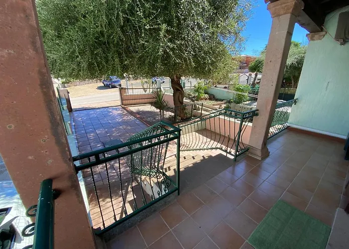 Olivastro Di Tanaunella